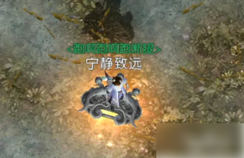 img202312161652310_info498X323.png