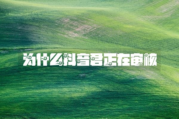 为什么抖音君正在审核 为什么抖音君正在审核