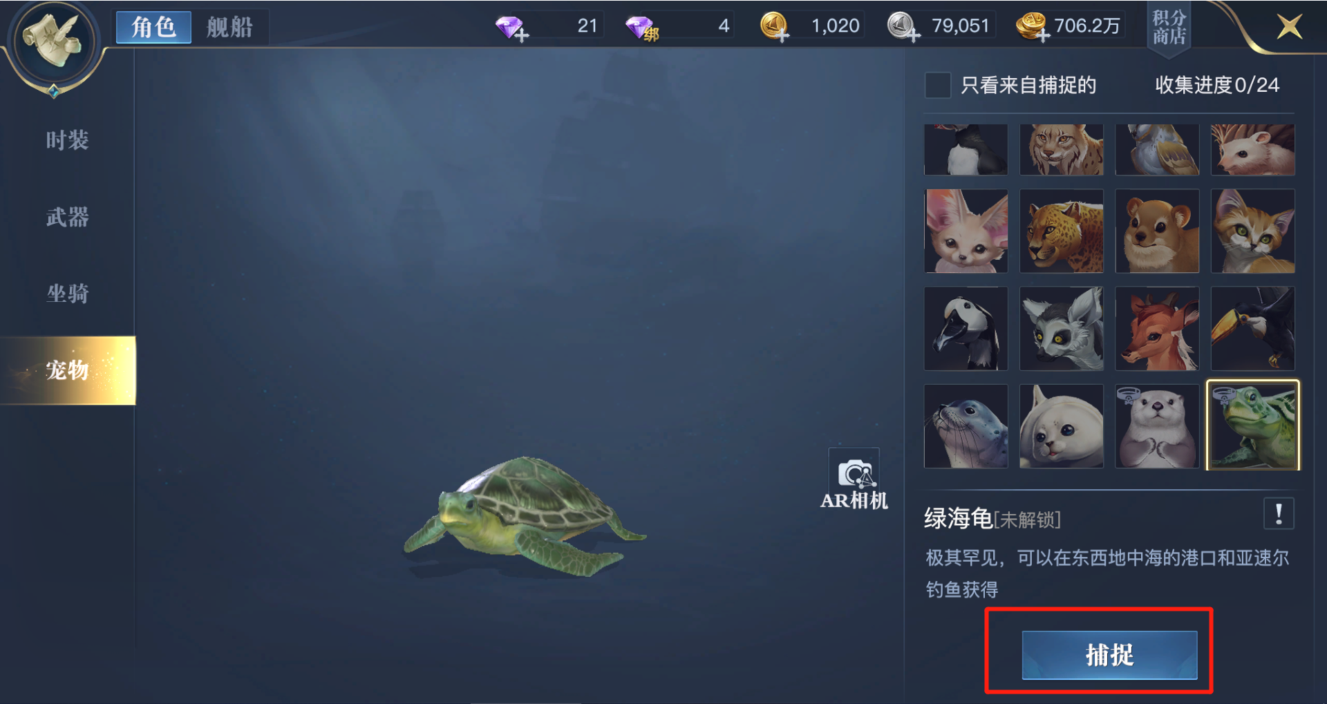 黎明之海宠物
