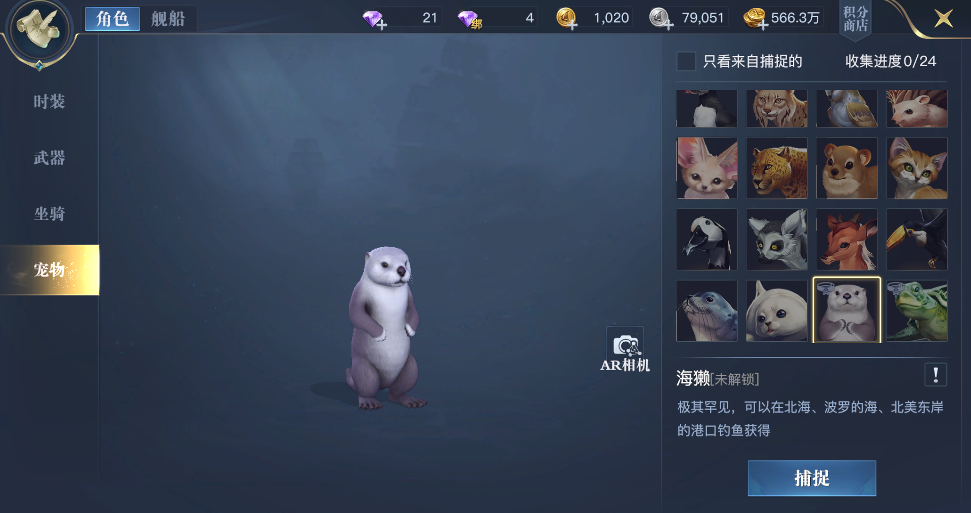 黎明之海宠物2
