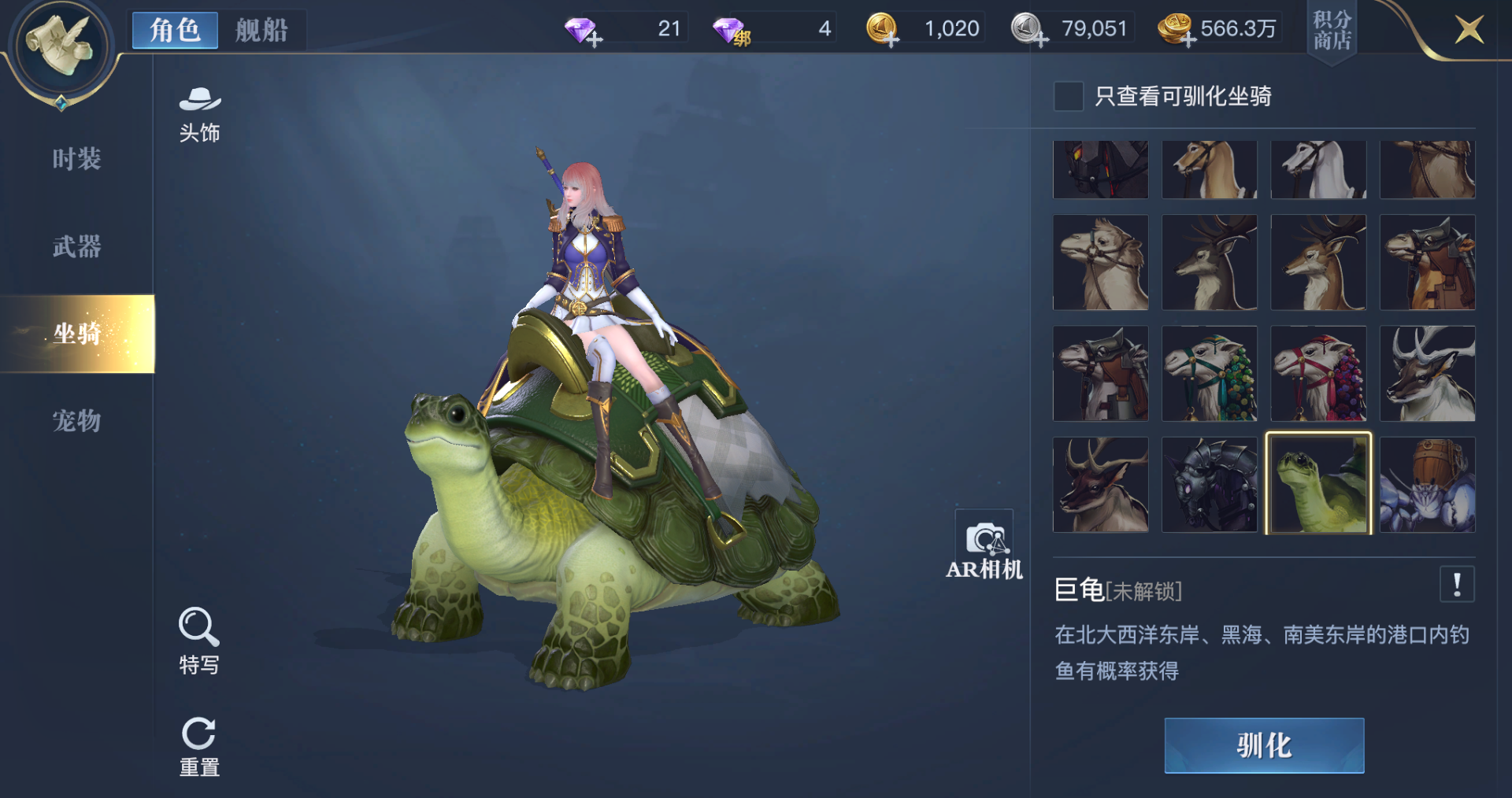 黎明之海坐骑