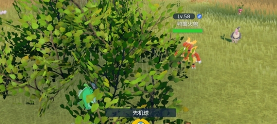 img202312200958040_info571X256.png