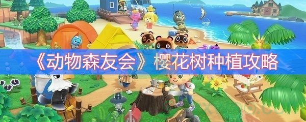 动物森友会樱花树种植攻略