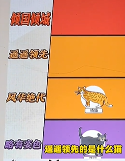 img_localize_64e716c28e34866384d6703b2a6b276d_254x327.png