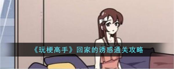 玩梗高手回家的诱惑怎么过  玩梗高手回家的诱惑通关攻略