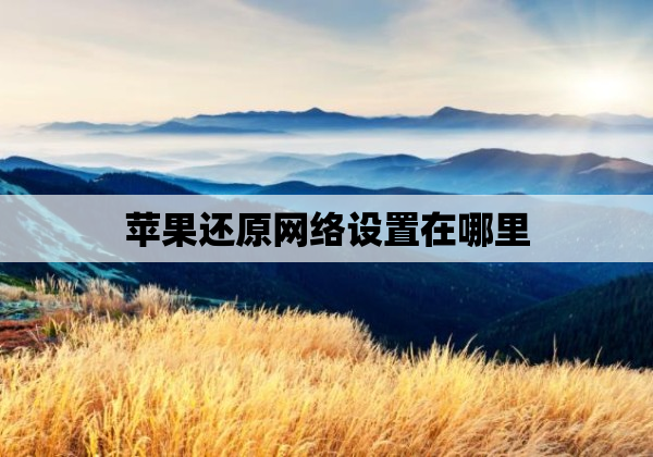苹果还原网络设置在哪里