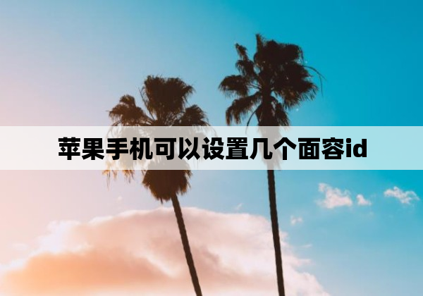 苹果手机可以设置几个面容id