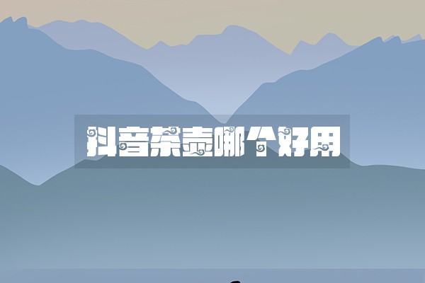 抖音茶壶哪个好用