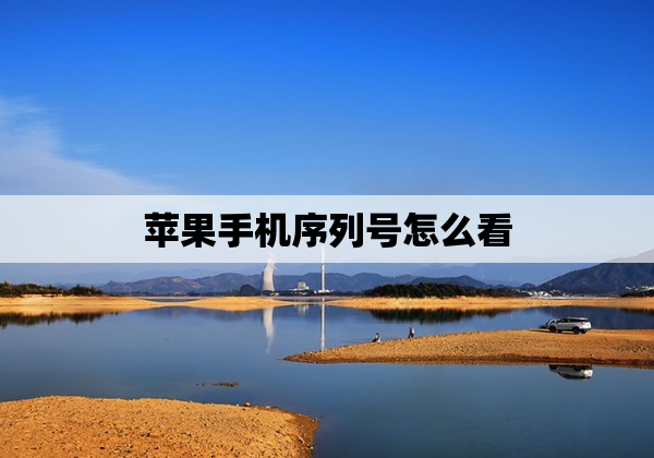 苹果手机序列号怎么看
