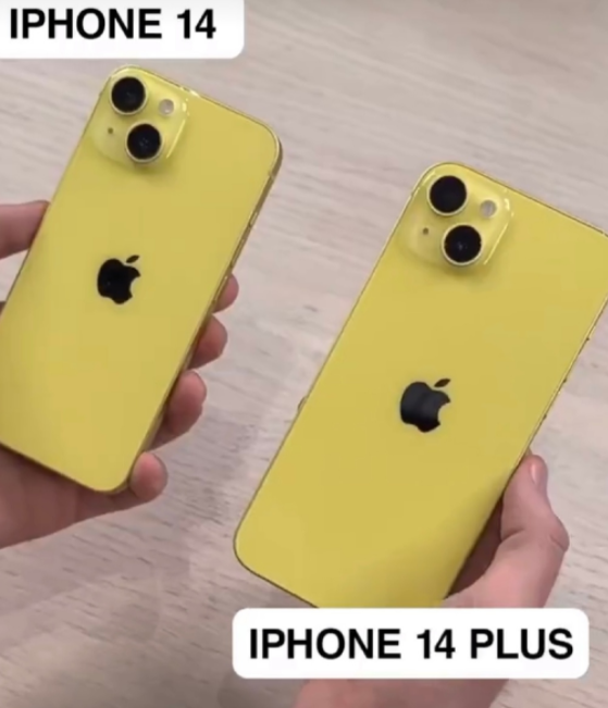495928-202303080942026407e7ea8d17e.jpg