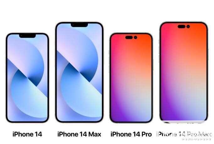 22090508571565791.jpg