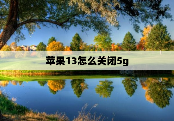 苹果13怎么关闭5g