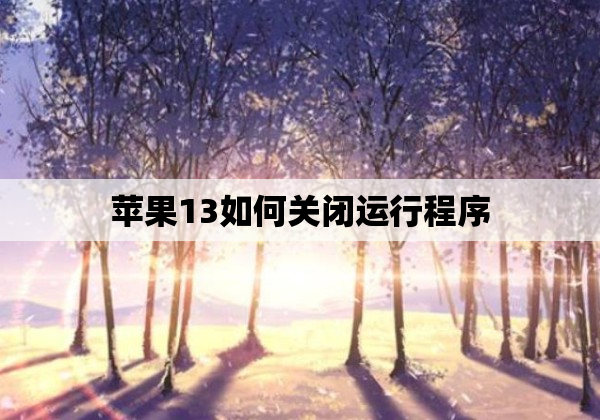 苹果13如何关闭运行程序