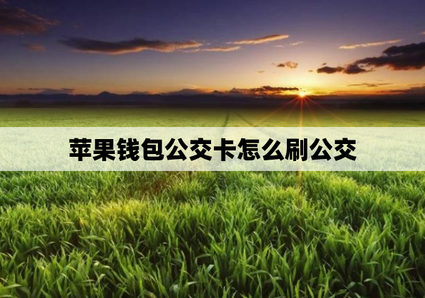 苹果钱包公交卡怎么刷公交