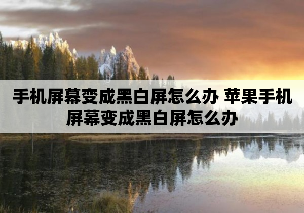 手机屏幕变成黑白屏怎么办 苹果手机屏幕变成黑白屏怎么办