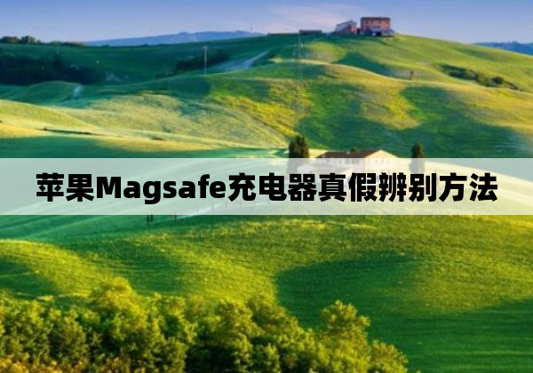 苹果Magsafe充电器真假辨别方法