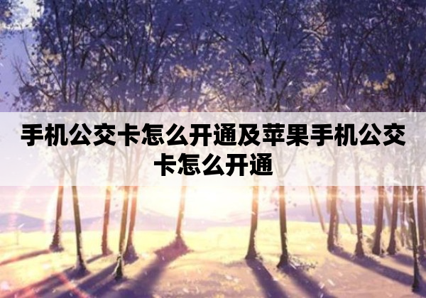 手机公交卡怎么开通及苹果手机公交卡怎么开通