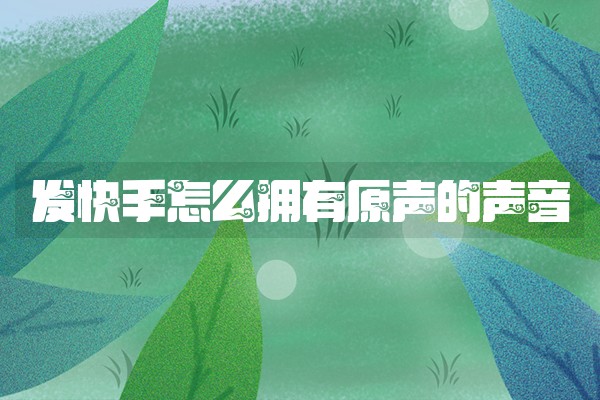 发快手怎么拥有原声的声音