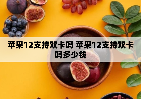 苹果12支持双卡吗 苹果12支持双卡吗多少钱