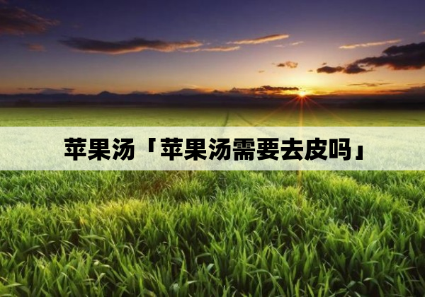 苹果汤「苹果汤需要去皮吗」