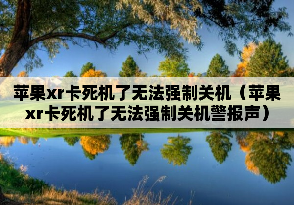 苹果xr卡死机了无法强制关机（苹果xr卡死机了无法强制关机警报声）