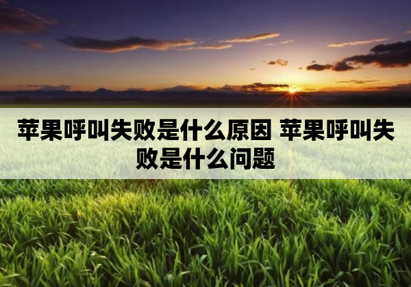 苹果呼叫失败是什么原因 苹果呼叫失败是什么问题