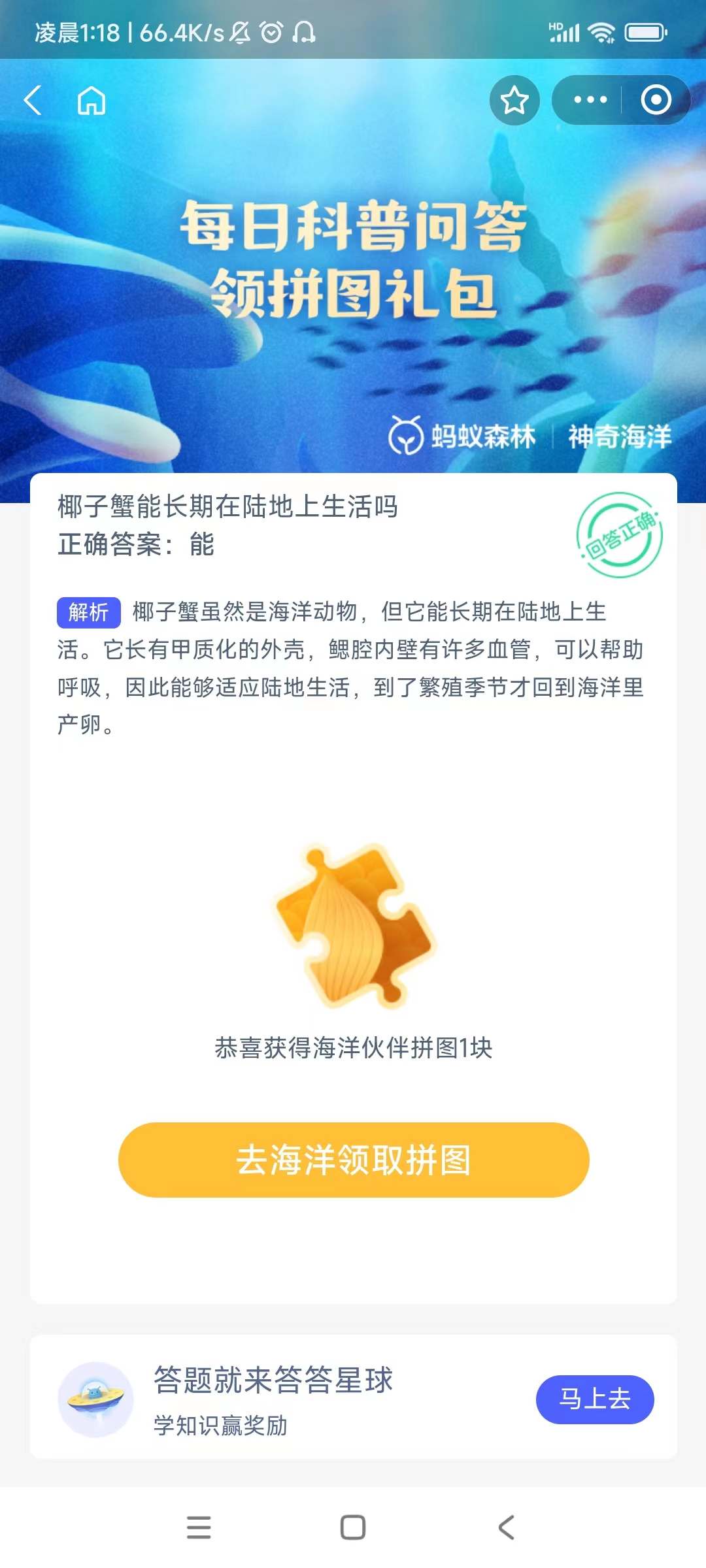 椰子蟹能长期在陆地上生活吗