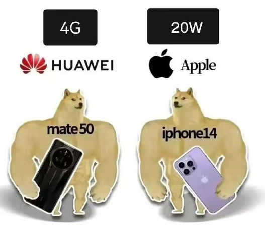 458628-202209051704066315bb86065cd.jpg