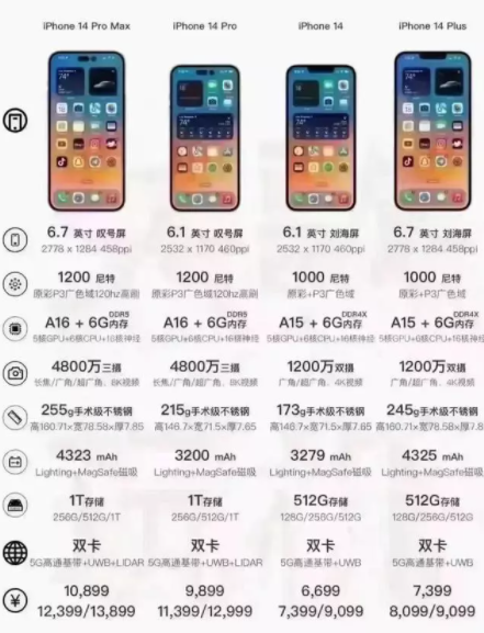 458624-202209051659046315ba58f2ec7.jpg