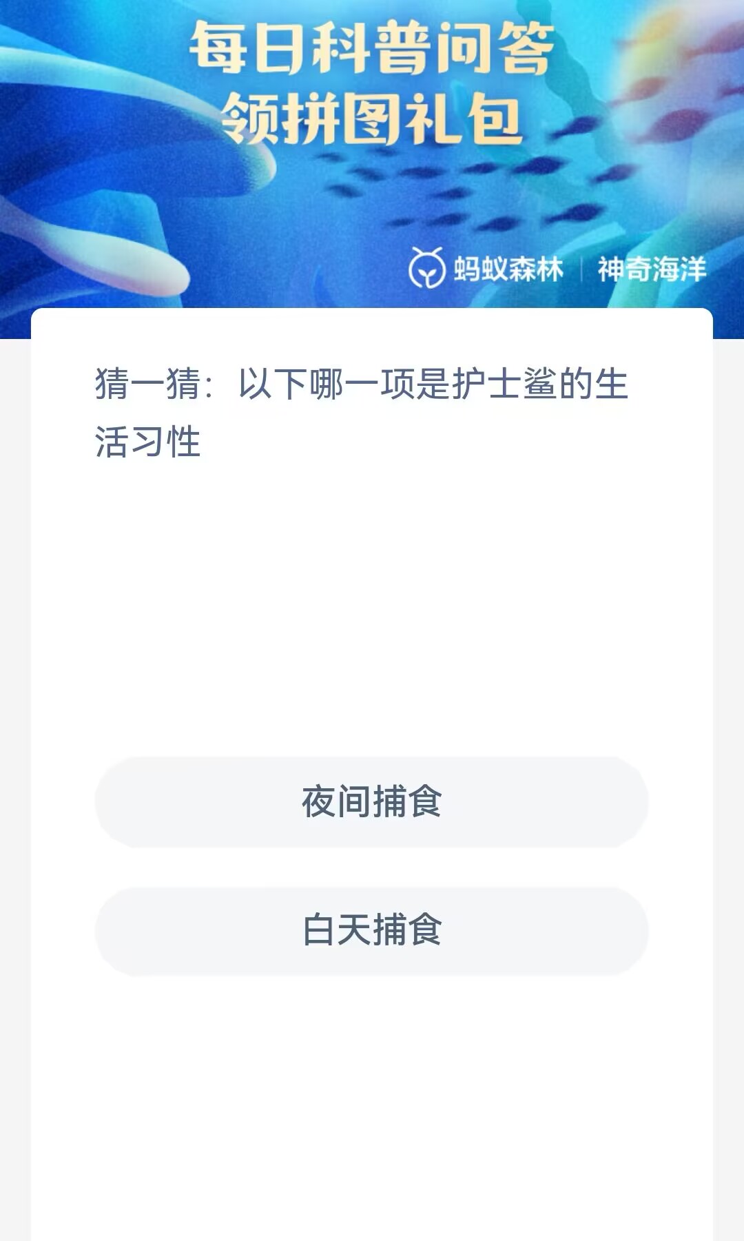 以下哪一项是护士鲨的生活习性