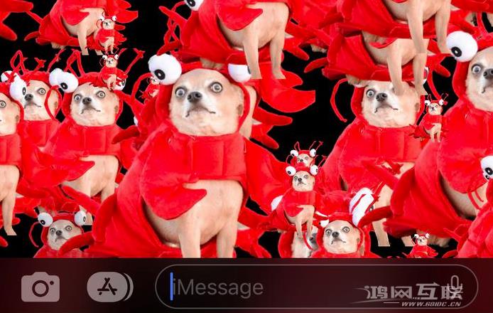 iOS 16 小技巧：使用抠图功能和 iMessage 特效分享趣味图片