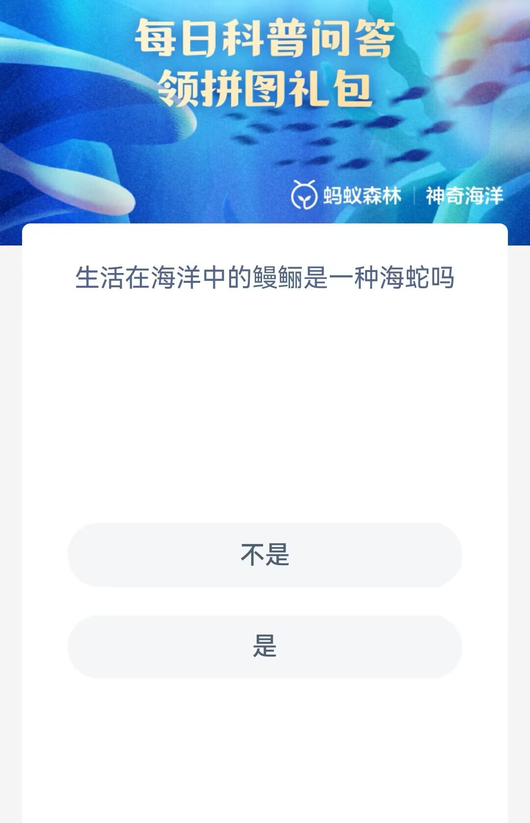 鳗鳜是一种海蛇吗