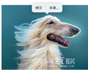 iPhone14 如何抠出有趣的图片并用 iMessage 分享给好友？