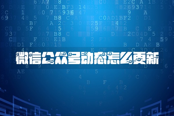微信公众号动态怎么更新 微信公众号动态怎么更新