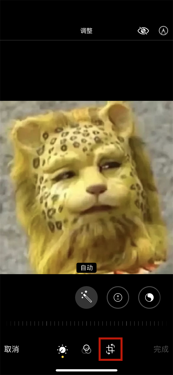 414567-2022050717340462763d0cdbee1.jpg
