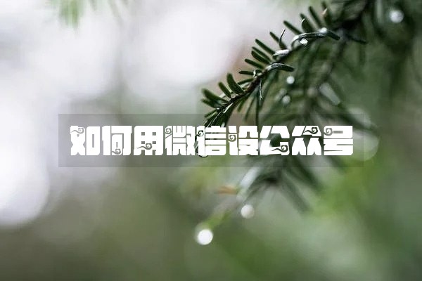 如何用微信设公众号 如何用微信设公众号