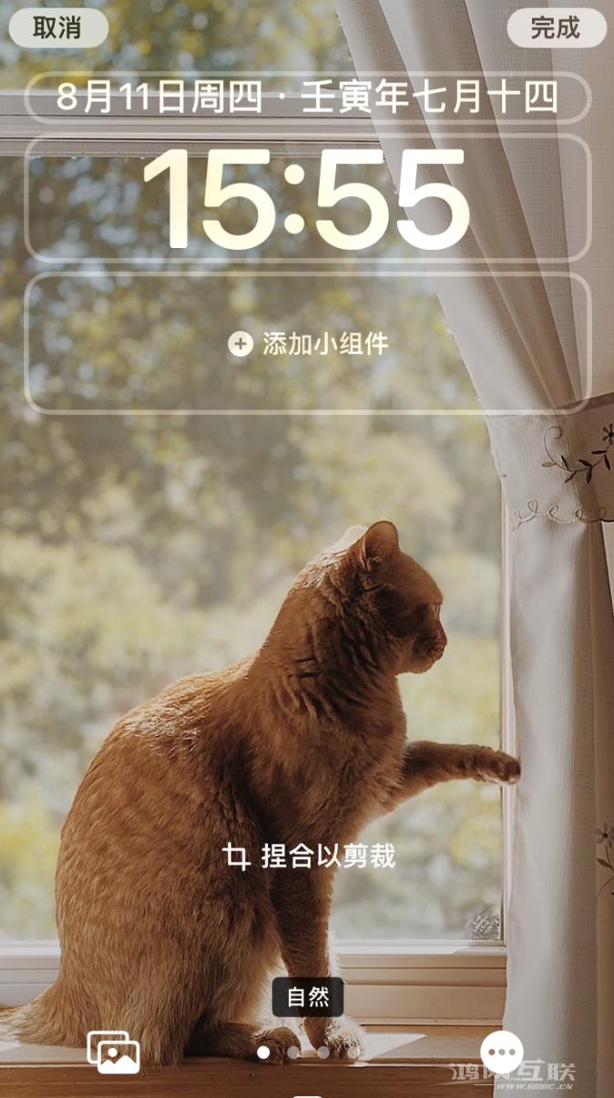 轻松剪裁锁屏墙纸是iOS  16提供的新功能插图3
