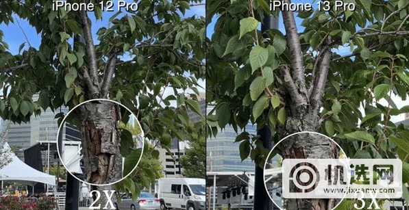 iPhone13Pro和12Pro拍照哪个效果更好-拍照对比