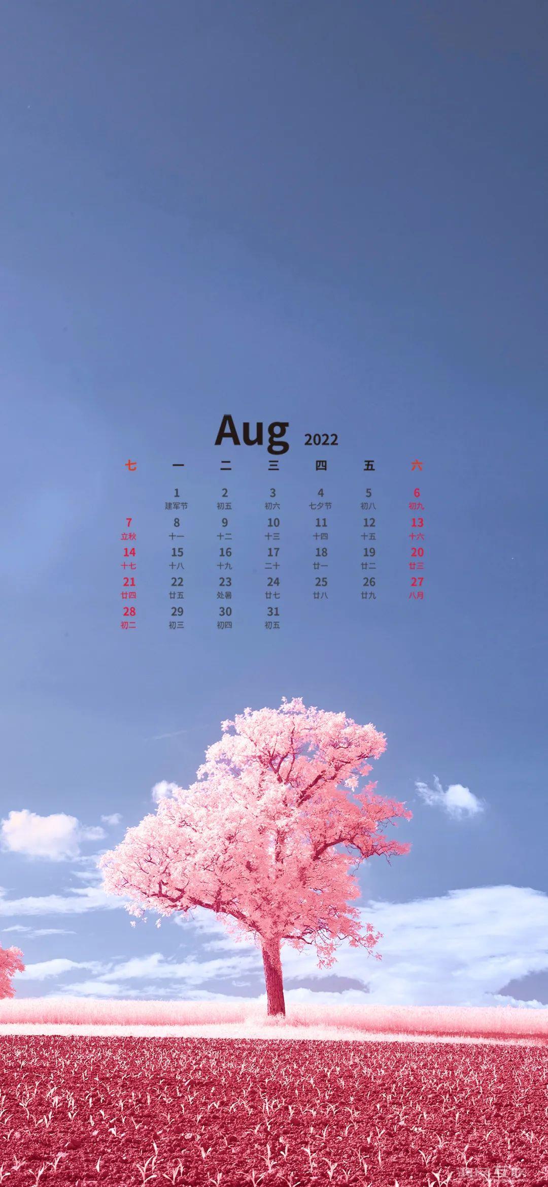 从iPhone  2G到iPhone  11，苹果这12年到底有多抠。。。插图9