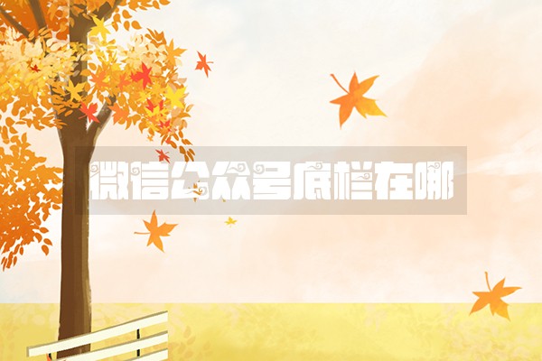 微信公众号底栏在哪 微信公众号底栏在哪