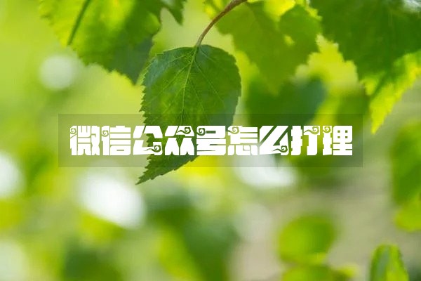 微信公众号怎么打理