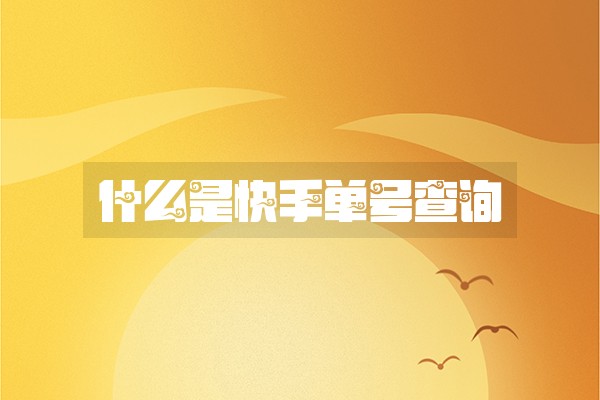 什么是快手单号查询