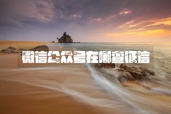 微信公众号在哪查征信