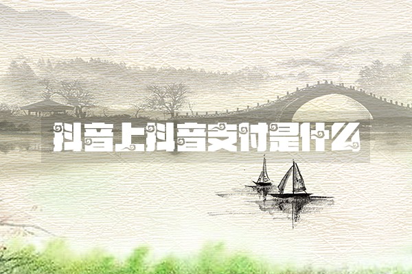 抖音上抖音支付是什么