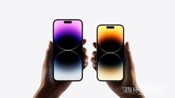 杠上了？任泽平称苹果收“高端”智商税的时代该结束了_果粉控
