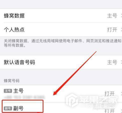 iPhone  SE3流量使用情况在哪里看