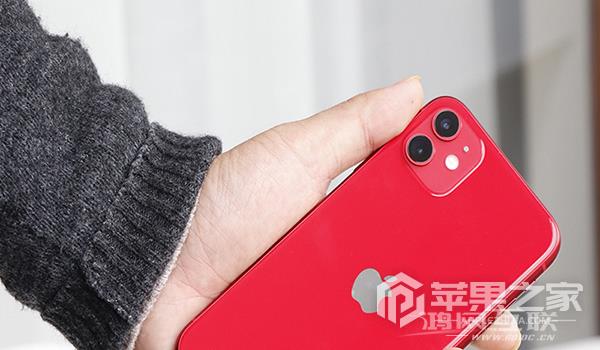 iPhone  11密码忘记有哪些解决方法