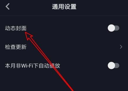 抖音通用设置关闭动态封面界面