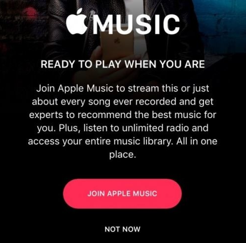 Apple Music歌词正式上线吗