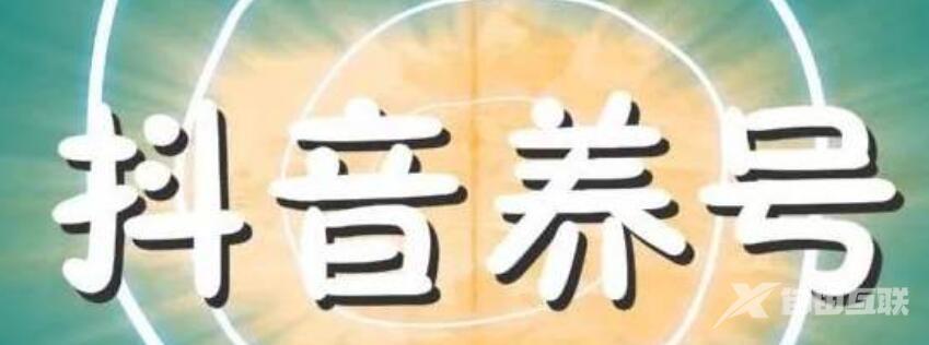 抖音运营技巧之养号